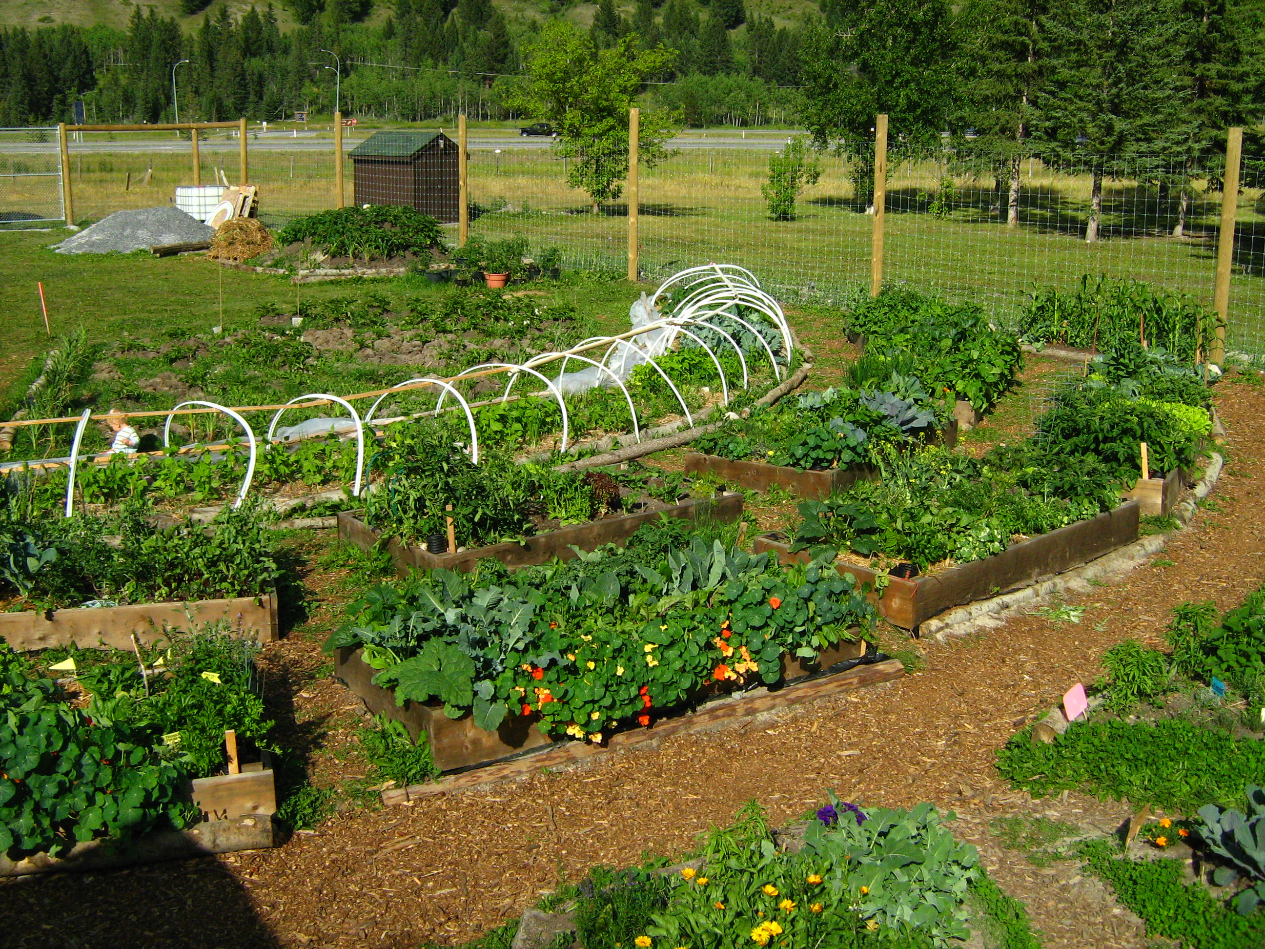 Canmore Community Garden  Canmore Community Gardening Society