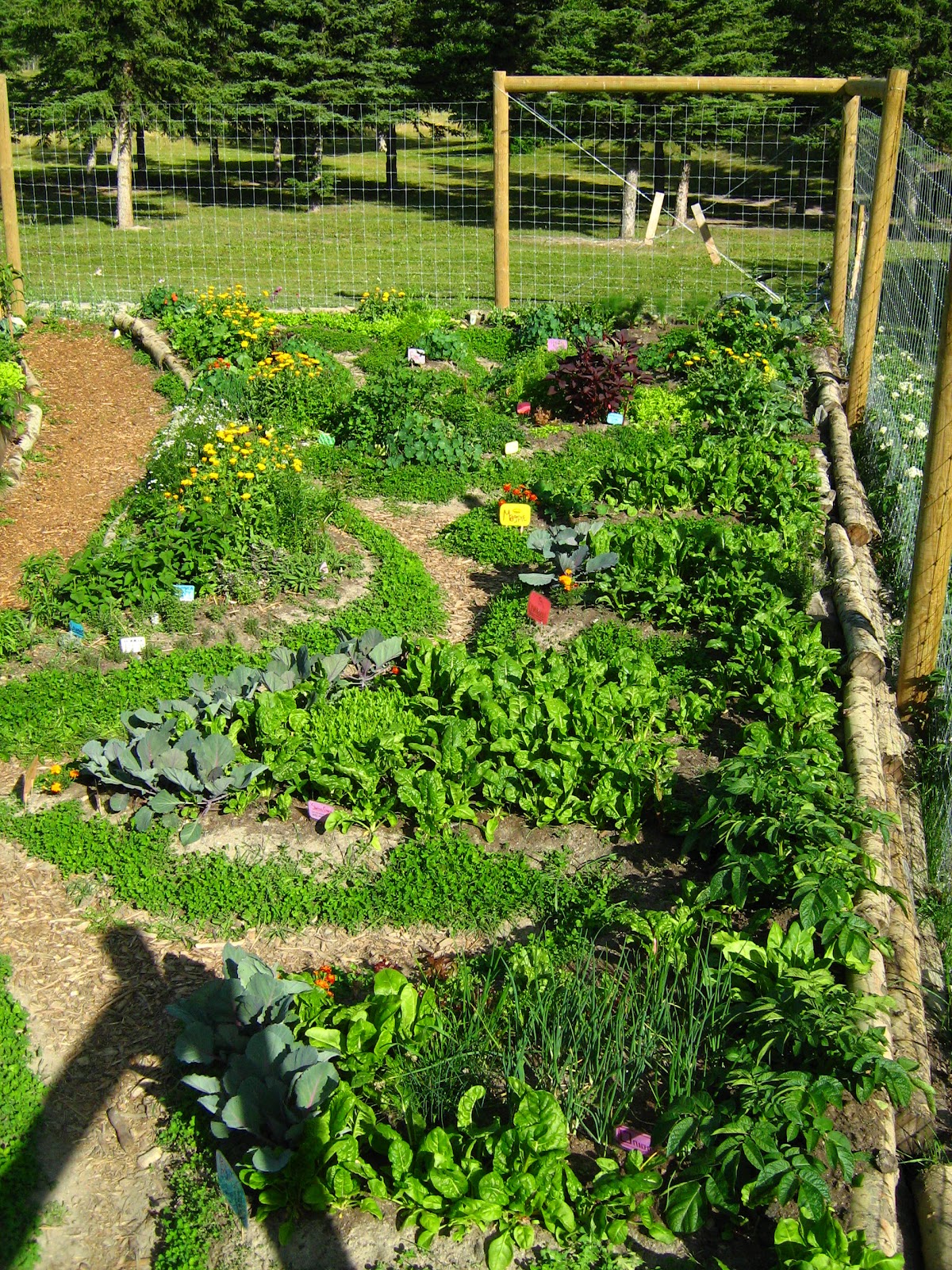 Fundamentals of Permaculture Design – Canmore Community Gardening Society