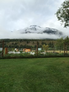 A view of Canmore Community Garden, with the mountain Lady MacDonald in the background shrouded in clouds.